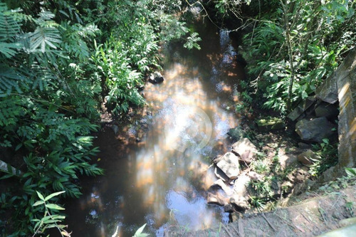 Imagem 5 de 15 de Área De Terra À Venda Em Picada Schneider 30000 M²- Presidente Lucena/rs - Ar0014