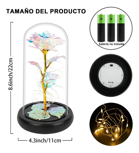 Kit Rosas Flores Eternas Conservadas En Cúpula Con Luces Led