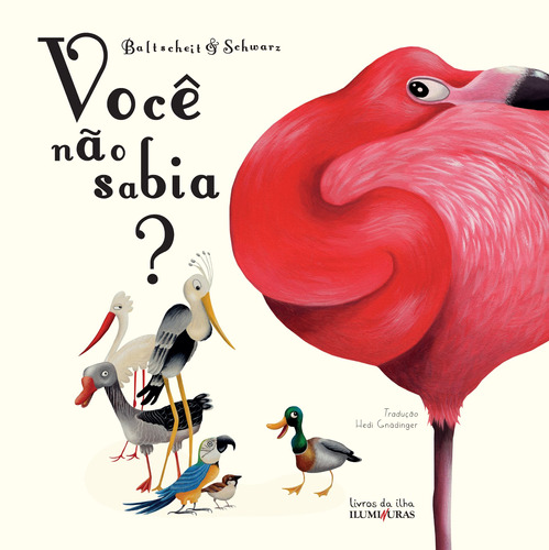Você não sabia?, de Baltscheit, Martin. Editora Iluminuras Ltda., capa mole em português, 2021