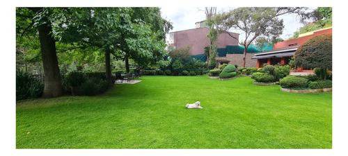 Imagen 1 de 12 de Extraordinario Terreno En Venta En Lomas De Chapultepec En