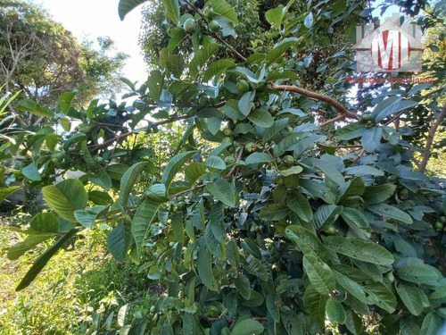 Imagem 30 de 30 de Chácara Com 3 Dormitórios, Arborizada, Churrasqueira, Jardim, Pomar, À Venda, 1452 M² Por R$ 390.000 - Pedra Bela - Pedra Bela/sp - Ch1193