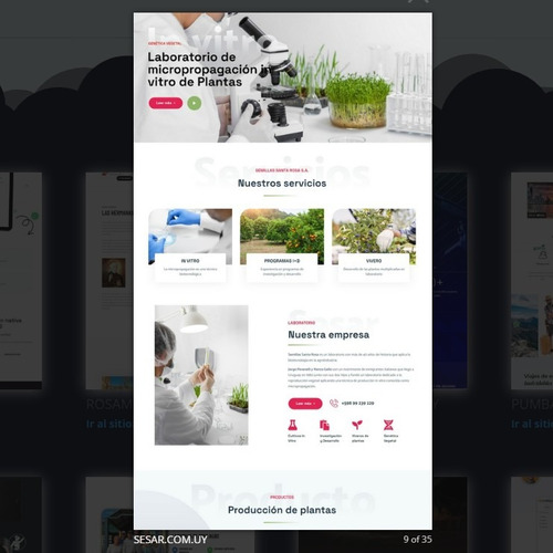 Diseño De Páginas Web Y Tiendas Online +app +hosting Gratis