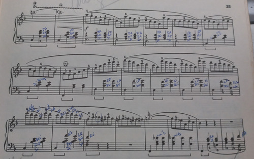 Chopin Valses. Brugnoli Y Montani - Piano (Usado)