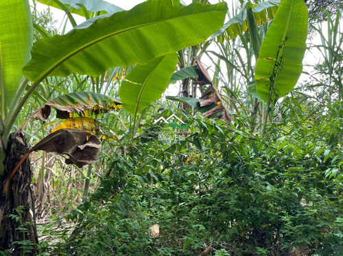 Imagem 8 de 20 de Chácara, Area Rural, Pedro De Toledo - R$ 100 Mil, Cod: 607 - V607