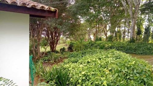 Imagem 29 de 29 de Sitio Com 63 Hectares De Leite Casa Branca Sp 6.500,000,00 - 44800