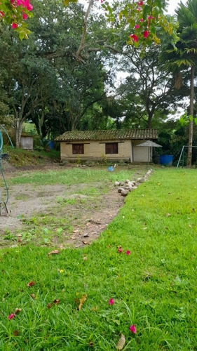 Imagen 8 de 18 de Granja En Peribeca 1.4 Ha