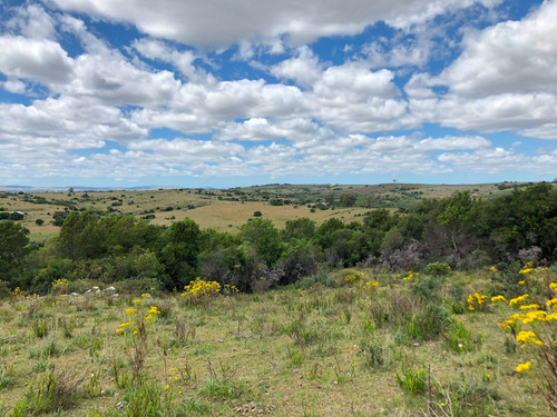 Chacras De 5 Has En Aiguá, Sobre Ruta 39, Km 60