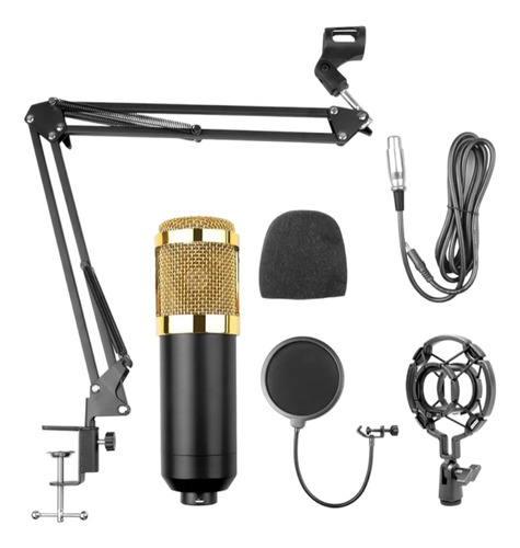 Kit Microfono Profesional Condensador Grabacion Estudio Ktv