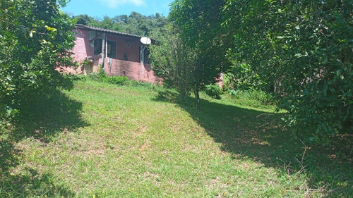 Imagem 5 de 30 de Sítio 04 Alqueires Em Pedro Barros A 10km Da Rodovia