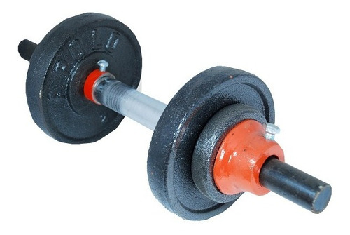 Mancuernas Con Discos Acero Fundido 12kg Nuevo Gim Casa Ecom