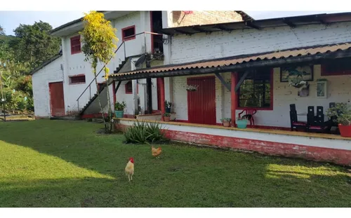 Vendo Finca Cafetera 47 Cuadras Por El Trebol Chinchina