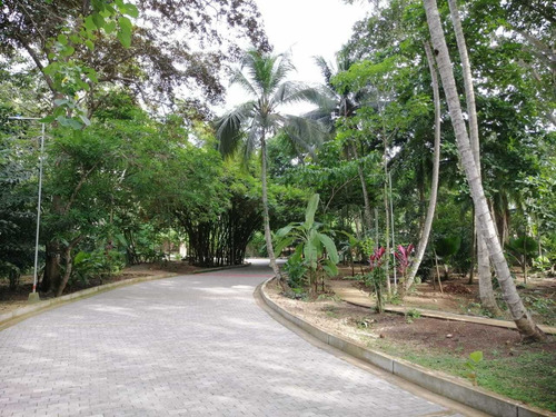 Imagen 6 de 8 de Venta De Lote En Turbaco - Condominio La Reserva.