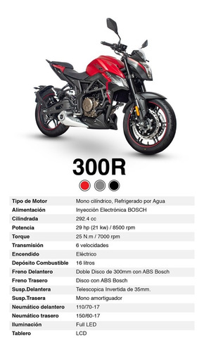 Imagen 15 de 23 de Voge 300 R 0km 2023 Naked Abs Fi Inyeccion 300r Moto Baires