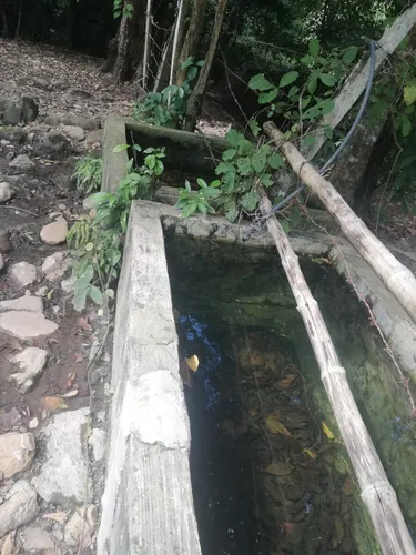 Finca Ganadera Con Nacimiento De Agua Propio