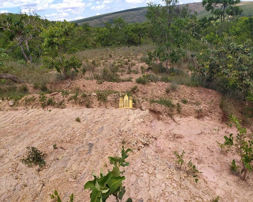 Imagem 12 de 14 de Terreno Em Codisburgo - Te00332 - 68871947