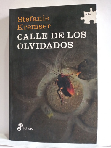 Calle De Los Olvidados - Stefanie Kremser