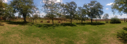 Imagen 5 de 10 de Campo En Venta En San Vicente