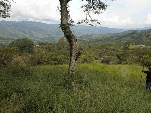 Finca En Guacamayas, Santander, Al Día En Documentos.