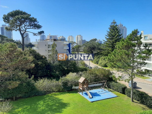 Imagen 12 de 15 de Punta Del Este, Zona Aidy Grill