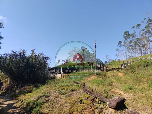 Imagem 11 de 28 de Fazenda À Venda No Vale Do Ribeira Sp Medindo 87,5 Alqueires Paulista Ref0978