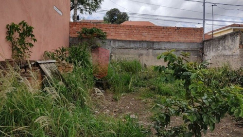 Imagem 7 de 15 de Terreno - Vila Rio Branco - Ref: 10066 - V-10066