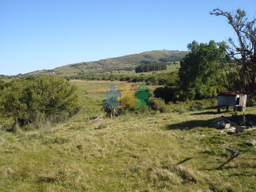 Imagen 6 de 18 de Campo 96 Has En Carape Cuenta Con Costa De Arroyo. - Ref : Eqp2775