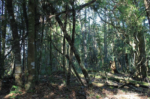 Imagen 15 de 30 de Agrícola En Venta En Puerto Varas
