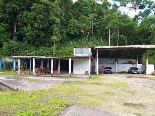 Imagem 6 de 10 de Galpao - Gl00045 - 69232805