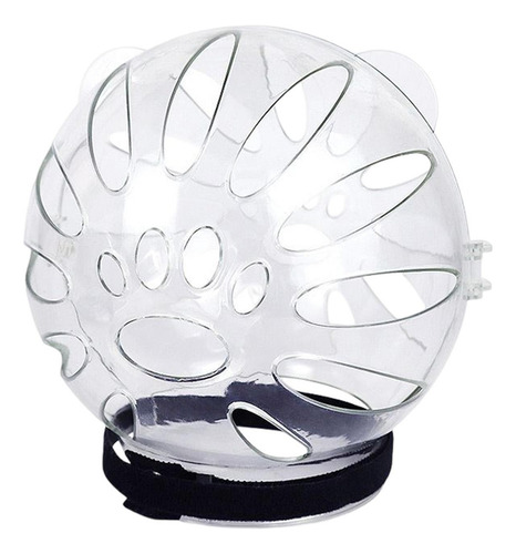 Suministros Para Gatos Domésticos Largo 155mmx145mm