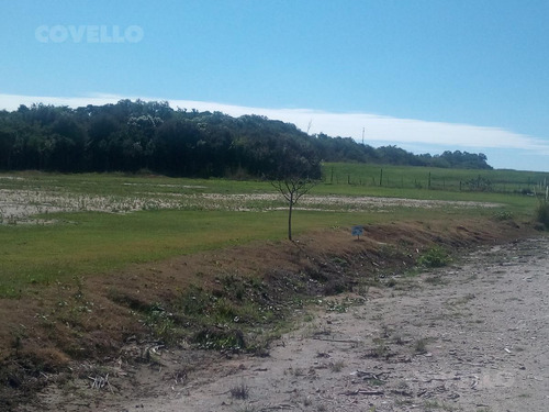 Terreno - Colonia Del Sacramento