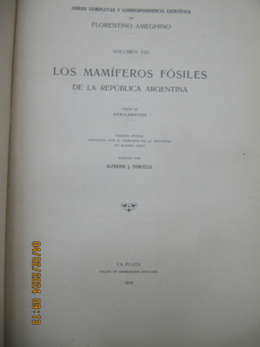 Mamiferos Fosiles  Rep Argentina Homalodontes  Ameghino 1918