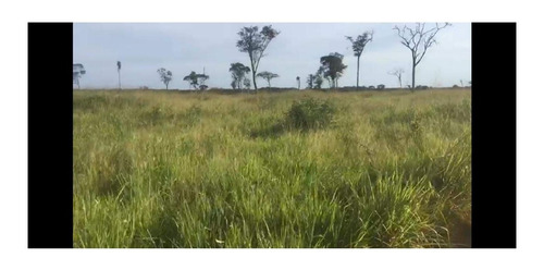 Imagem 20 de 22 de Fazenda 1958 Hectares, Planta 1500 Hectares, Rica Em Água Com Rios, Açudes, Casas, Curral, Galpões, Poços Artesianos, Terra Fértil - Fa00237 - 70701334