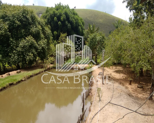 Imagem 7 de 30 de Sítio 35 Alqueires À Venda - Sao Jose Dos Campos - Sp - 393