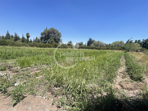 Sitio En Venta En San José, Colina
