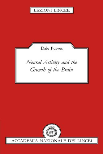 Libro Neural Activity And The Growth Of The Brain De Dale Pu