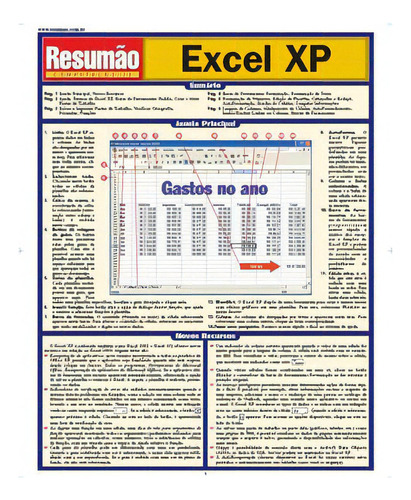 Excel Xp, De Arnold Darryl. Editora Resumao, Capa Mole Em Português, 2008