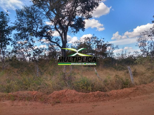 Imagem 11 de 15 de Fazenda 102,22 Hectares, R$ 2.788,10 Ha, Santa Fé De Minas Mg, Pecuária, - 442