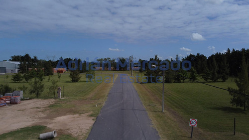 Terreno En Parque Industrial Ecológico De La Cruz - 5289 M2 - Venta