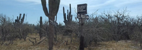 Terreno En Playa Los Innoncentes