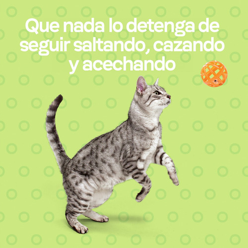 Alimento Natural Canidae Articulaciones Gato Salmón 4.5kg
