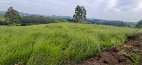 Imagem 10 de 18 de C05 Terrenos A Venda Venha Investir Para Você E Sua Família!