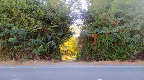 Venta Parcela Camino La Estancillla - Viluco - Buin