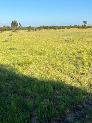 Se Vende Parcela De 5.000 Mt2 Cerca De Parral (126604)