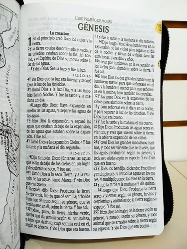Imagen 5 de 8 de Biblia Rvr1960 Let Gde Imit Piel León Café Cierre Con Índice