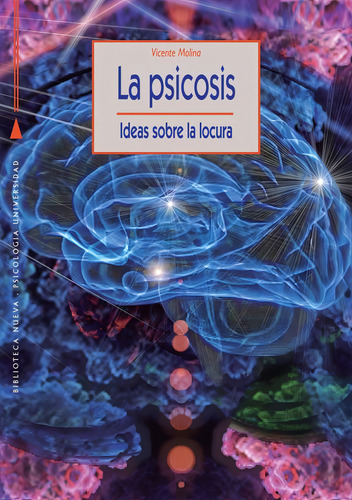 La Psicosis Ideas Sobre La Locura