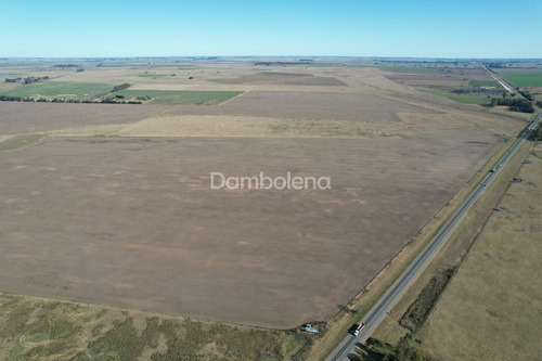 Imagen 25 de 27 de Terreno Campo En Venta En Carmen De Areco, Resto De La Provincia, Buenos Aires