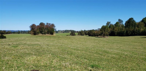 Imagen 4 de 16 de Agrícola En Venta En Río Bueno