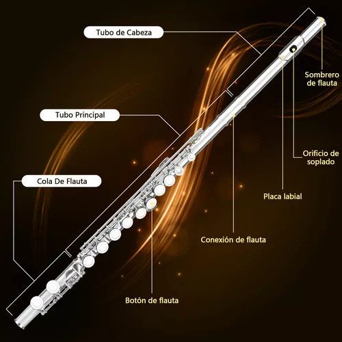 Flauta Transversal De 16 Llaves En Do Ideal Para Músicos Plateado