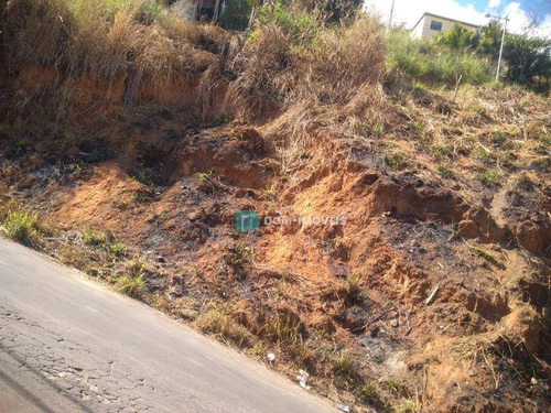 Imagem 7 de 12 de Terreno À Venda, 520 M² Por R$ 56.000,00 - Lourdes - Juiz De Fora/mg - Te0236