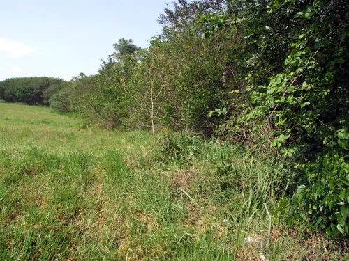 Ninho Verde I - Porangaba-sp - 2 Lotes - 900m² - Vendo Ou Troco